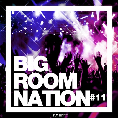 Big Room Nation, Vol. 11