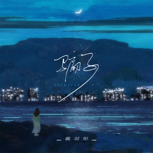 骗子 - Single