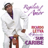 Ricardo Leyva/Sur Caribe - La Escuela de Baile