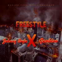 Freestyle (feat. Gambino) - Single - Johnny Boyie