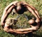 Badimo - Xavier Rudd lyrics