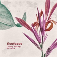 Cherry Picking / At Peace - Single - Ticofaces