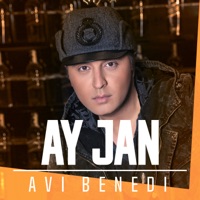 Ay jan - Single - Avi Benedi