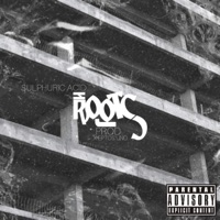 Roots - Single - Sulphuric Acid