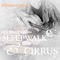 Cirrus (feat. Simon Phillips & Mike Porcaro) - Stephen Duros lyrics