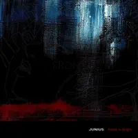 Blood is bright — Junius