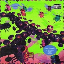 bangarang (feat. Mang0 & Mindset!) Lil Mollywater