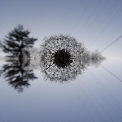 Morning Isolation - Single