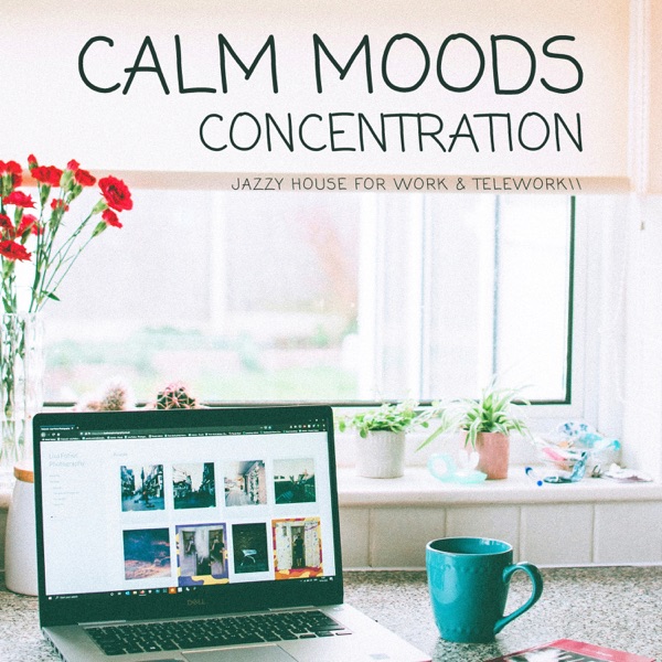 Calm Moods: Concentration - Jazzy House for Work & Telework