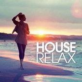 House Relax (Deep and Chill Selected Cuts) artwork