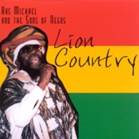 Ras Michael & The Sons of Negus - Positive Vibrations