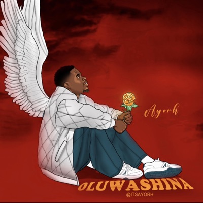 Oluwashina - Single