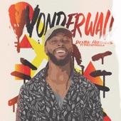 Wonderwall (feat. ProdByInsula) artwork