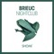 Nightclub (Extended Mix) - Brieuc lyrics