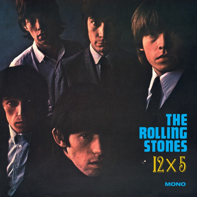 Amazon.com: The Rolling Stones In Mono[16 LP Boxset]: CDs