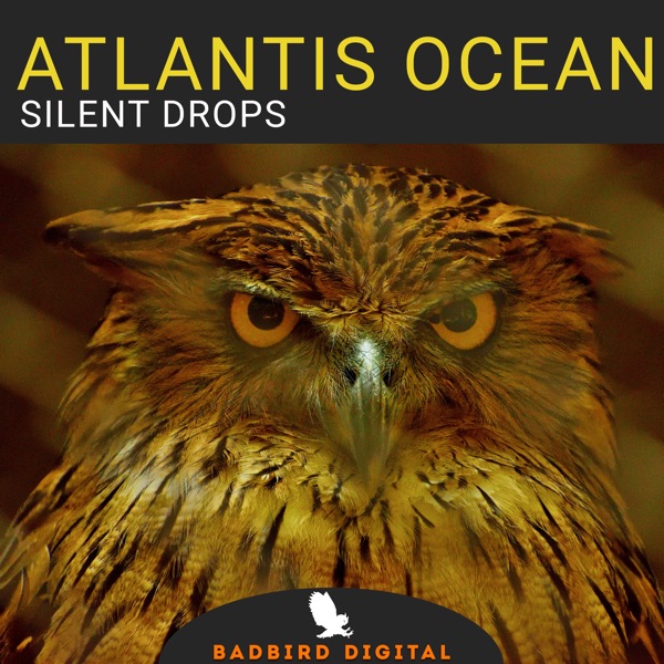 Silent Drops - EP