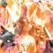 Johnny Dang Hang Low (feat. DirtyFaceSmook) - Johnny Finesse lyrics