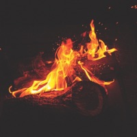 2 Realms - Single - Foxtale