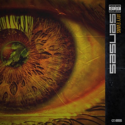 Senses - Single