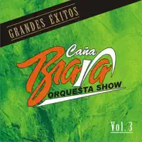 Cuando Tu Te Vayas — Orquesta Caña Brava