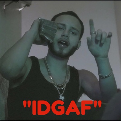 Idgaf (feat. Babyboy) - Single