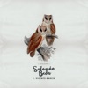 Sígueme (feat. Vicente Garcia) - Single