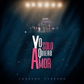 Yo Solo Quiero Amor artwork