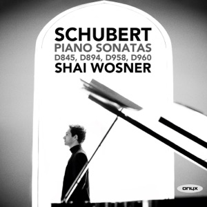 Schubert: Piano Sonatas D. 845, D. 894, D. 958, D. 960