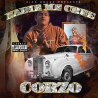 Nadie Me Cree - Single - Corzo
