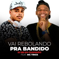 Vai Rebolando pra Bandido (feat. Mc Trick) - Single - DJ BR do Chapadão