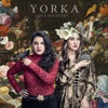 Yorka - ¿Qué Hiciste?