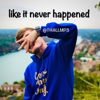 Like It Never Happened - Single - Thallmp3