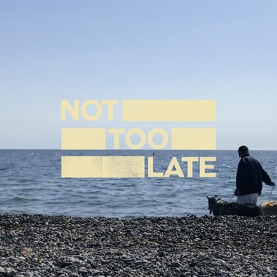 Not Too Late - Single