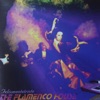 The Flamenco House (Felizmente Triste)