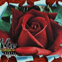 Para Olvidarte (feat. Kuba) - Single - Kl PRODUCIENDO