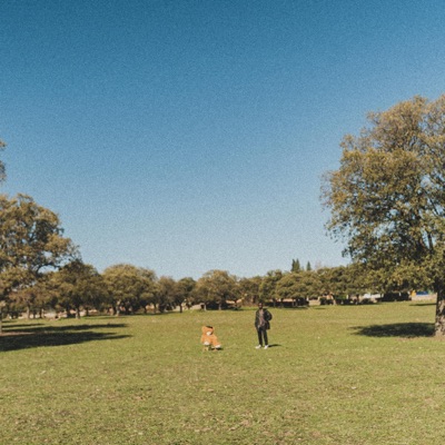 Bad News (feat. Niño Sergio) - Single