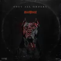Obey