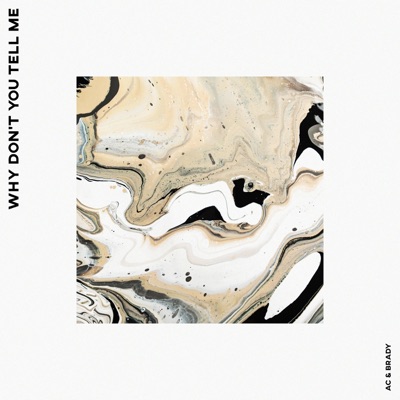 Why Don't You Tell Me (feat. Lindsey Shumaker) - Single