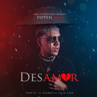 Desamor - Single - Pippen Maa