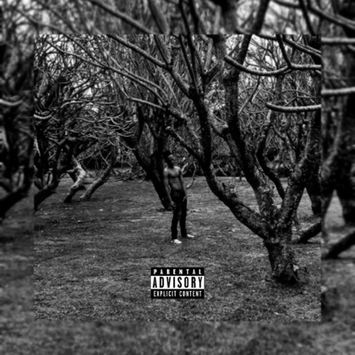 Lost (feat. Blankfrank) - Single