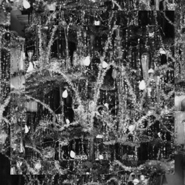 Late Winter Strehlow