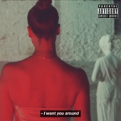 I Want You Around - Single