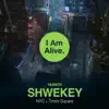 Yaakov Shwekey - I Am Alive