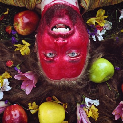 Plastic Apples - Single