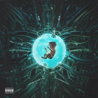 Wasabi - Single - Bernard Jabs