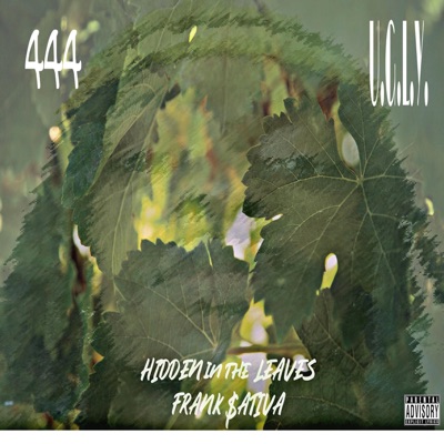 Hidden in the Leaves