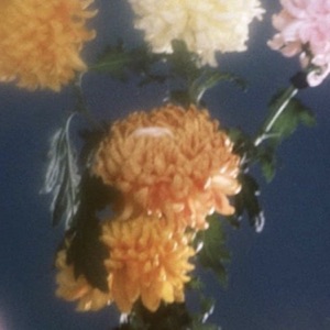 Kameo - Single