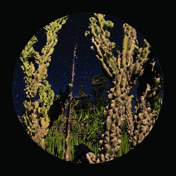 Piano Bar: Zest - Single