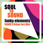 Funky Elements (Kako's Urban Jazz Mix) artwork