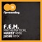 Mathematical (Marst Remix) - F.E.M lyrics